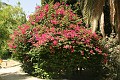 IMG_5037_r1