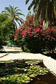IMG_5039_r1