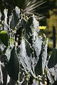 IMG_5042