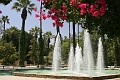 IMG_5051