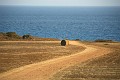 IMG_5103_r1