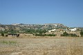 IMG_6385_r1