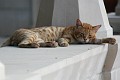 IMG_5278_r1