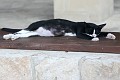 IMG_5283_r1