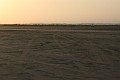 IMG_5301