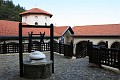 IMG_5402_r1