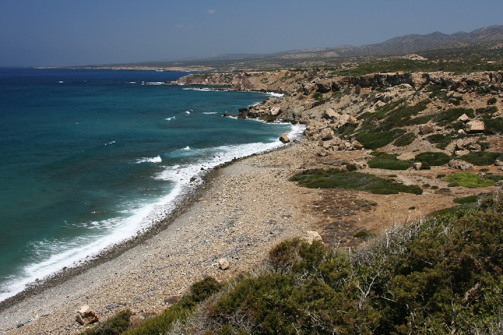 IMG_5503_r1.jpg