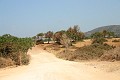 IMG_6423_r1