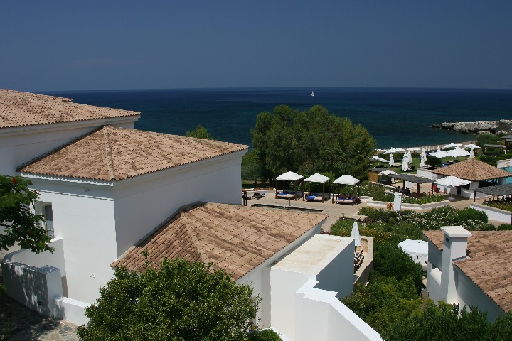 IMG_5600.JPG