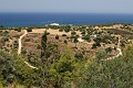 IMG_5515_r1