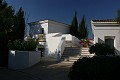 IMG_5651