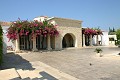 IMG_6629