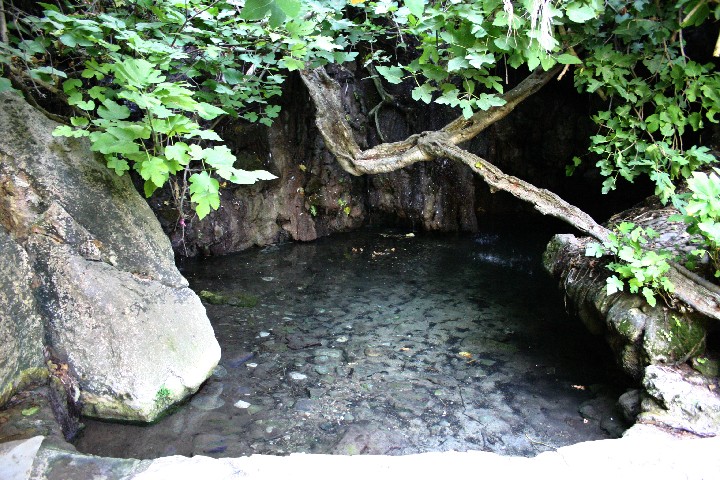 IMG_6537_r1.jpg