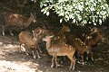 IMG_5692_r1