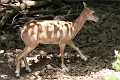 IMG_5701_r1