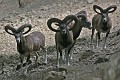 IMG_5720_r1