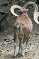 IMG_5723_r1