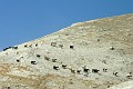 IMG_6389_r1