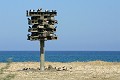 IMG_6567_r1