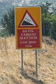 IMG_6593_r1