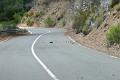 IMG_6616_r1